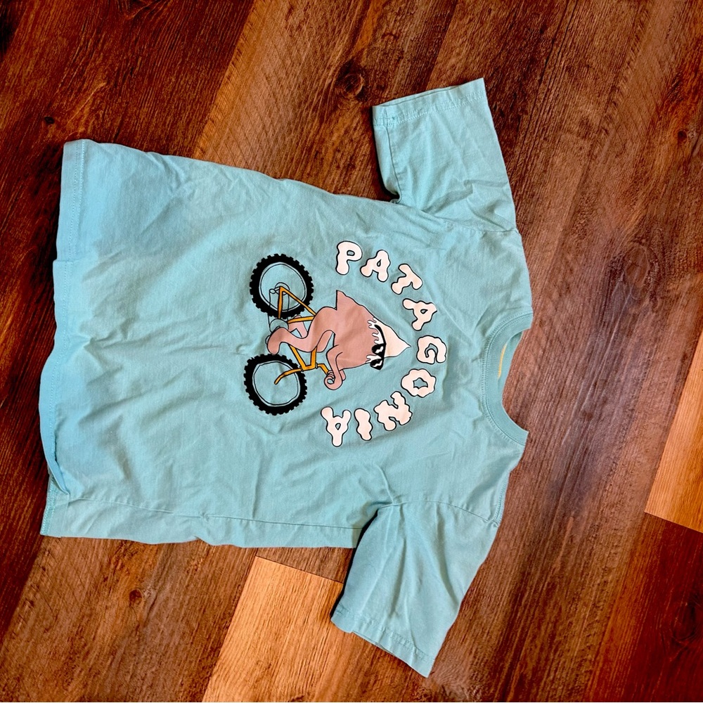 Patagonia Blue Short Sleeve Tee with Graphic Design